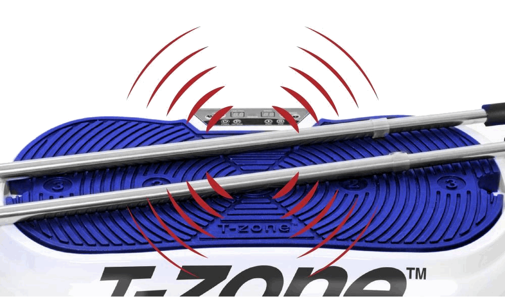 T-Zone HE-90 Vibration Plate Exercise Machine with accessories including balance poles and mats, showcasing its compact design and user-friendly interface.